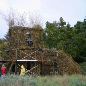 Toad Hall Construction