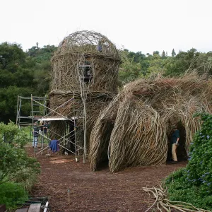 Toad Hall Construction