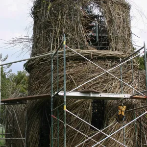 Toad Hall Construction
