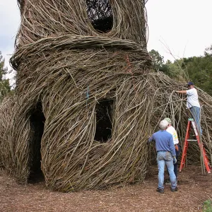 Toad Hall Construction