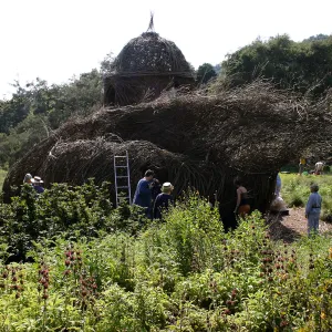 Toad Hall Construction