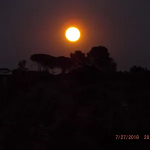 Members' Full Moon Hike