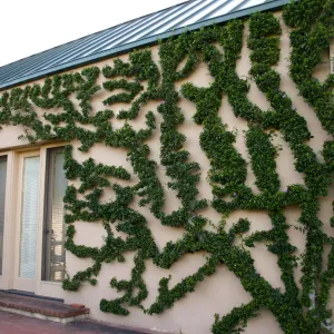House at Hay Hill Property