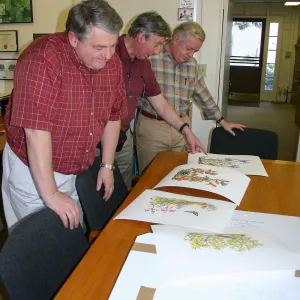 Ed Schneider, Patick O'Hara, and Bob Sherwood viewing artwork