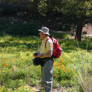 Patrick O'Hara in the Meadow