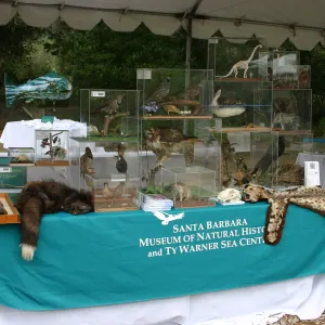 BioBlitz, Santa Barbara Museum of Natural History and Ty Warner Sea Center Station