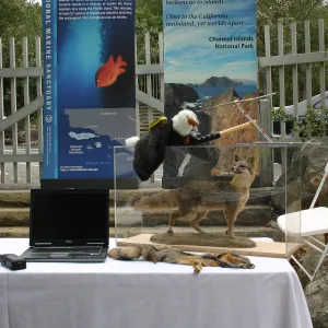 BioBlitz, Channel Islands National Park display