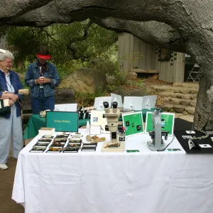 BioBlitz, Lichen Station