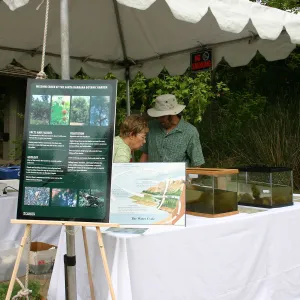 BioBlitz, Mission Creek by SBBG