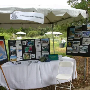 BioBlitz, Channel Islands Restoration