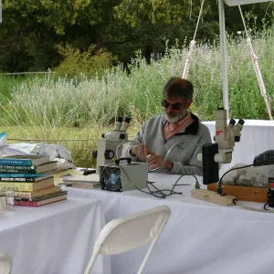 BioBlitz, Station