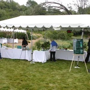 BioBlitz, Stations