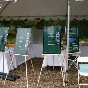 BioBlitz, Insect/Invertebrate station