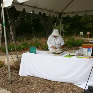 BioBlitz, Vertebrate Station