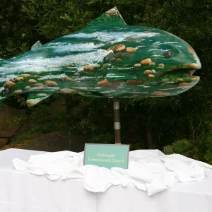 BioBlitz, Community Environmental Council display