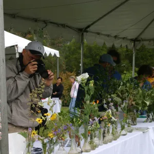 BioBlitz, Plant display at Station