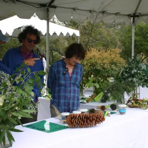 BioBlitz, Plant display at Station