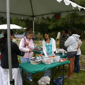 BioBlitz, Craft Tables