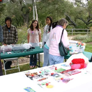 BioBlitz, Craft Tables