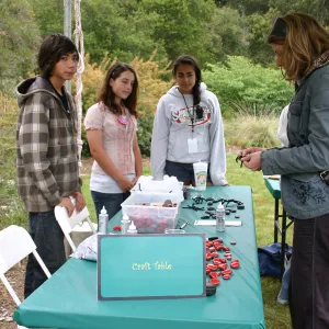 BioBlitz, Craft Table