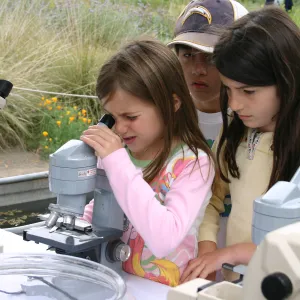 BioBlitz, Station, Microscorpe viewing