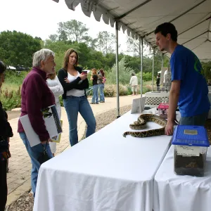 BioBlitz, Station