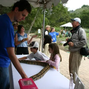 BioBlitz, Python 
