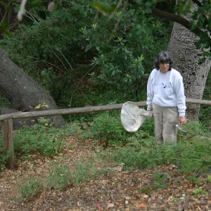 BioBlitz, Visitor with Butterfly net