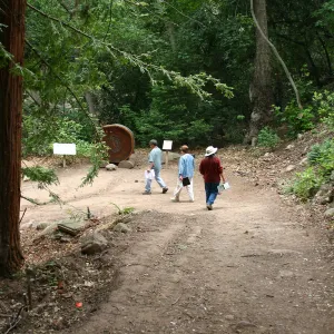 BioBlitz, Visitors, Redwood Section
