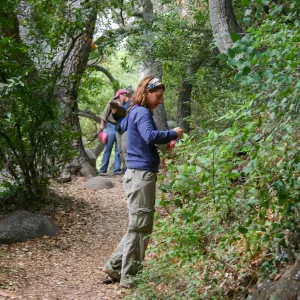 BioBlitz