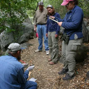 BioBlitz, examining a wood rat
