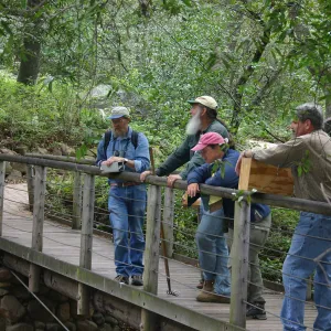 BioBlitz, Visitors, Campbell Bridge