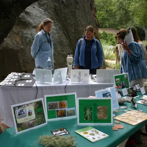 BioBlitz, Lichen display