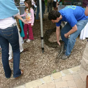 BioBlitz, Python, handler
