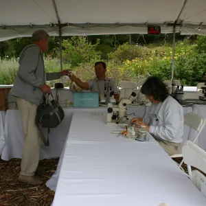 BioBlitz, Scientists Station