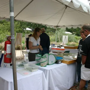 BioBlitz, Insect Station