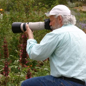 BioBlitz, photographer