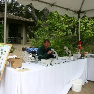 BioBlitz, Creek food web activity