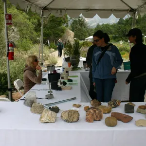 BioBlitz, Soil Ecology Station