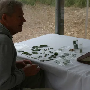 BioBlitz, Station
