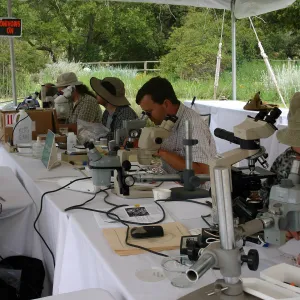 BioBlitz, scientist station