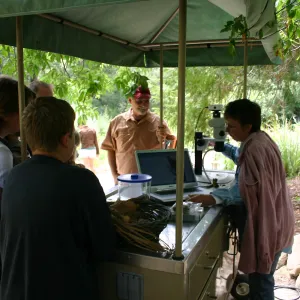 BioBlitz, Nature Camp Station