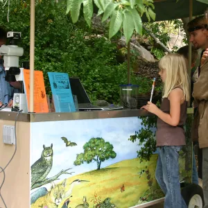 BioBlitz, Nature Camp Station