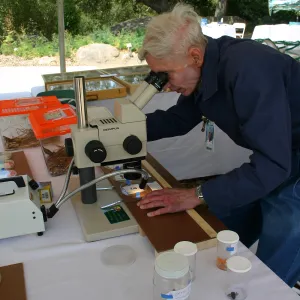 BioBlitz, microscope station