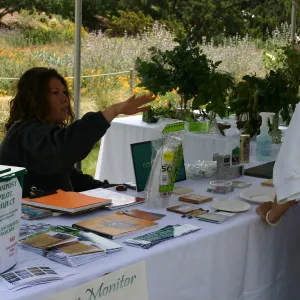 BioBlitz, Compost Pilot Project