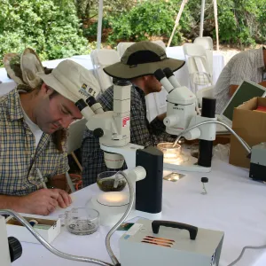 BioBlitz, Scientist Station