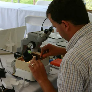 BioBlitz, Scientist Station