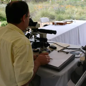 BioBlitz, Scientist Station