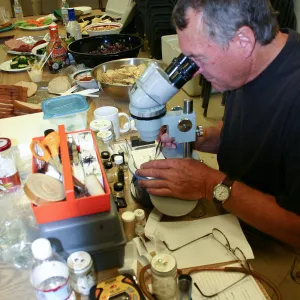 BioBlitz, Lab