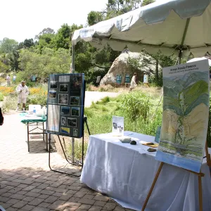 BioBlitz, Arroyo Hondo Preserve, S. B. Land Station